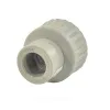 Муфта PP-R комбинированная серая НР Дн 32х1" RTP (РосТурПласт) 10946
