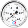 Манометр гидрозаполненный ТМ-520Т.10 осевой Дк100мм 0-0,6 МПа G1/2" глицерин Росма 00000031032